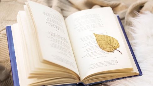ЈЕЗИЧКИ ИНЖЕЊЕРИНГ: Саопштење Матице српске поводом питања о родној равноправности ЈЕЗИЧКИ ИНЖЕЊЕРИНГ: Саопштење Матице српске поводом питања о родној равноправности
