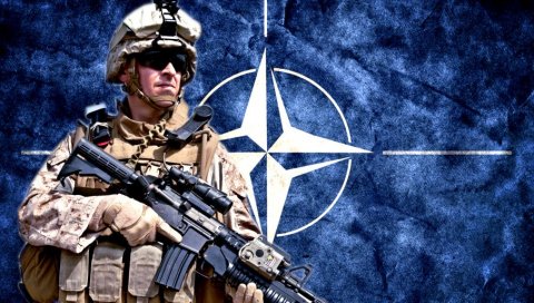 АМЕРИКАНЦИ РАСПОРЕЂУЈУ ТРУПЕ У АЛБАНИЈИ: Почиње највећа војна вежба на Балкану од Другог светског рата АМЕРИКАНЦИ РАСПОРЕЂУЈУ ТРУПЕ У АЛБАНИЈИ: Почиње највећа војна вежба на Балкану од Другог светског рата