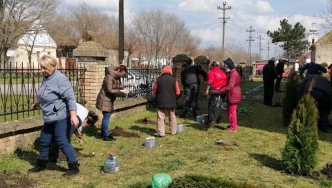 ОПЛЕМЕНИЛИ ПОРТЕ СЕОСКИХ ЦРКАВА: У пландиштанском селу Маргита мештани посадили 70 ружа и 37 туја ОПЛЕМЕНИЛИ ПОРТЕ СЕОСКИХ ЦРКАВА: У пландиштанском селу Маргита мештани посадили 70 ружа и 37 туја