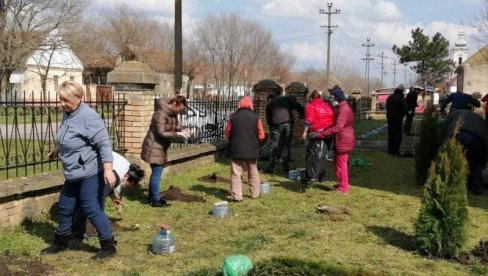 ОПЛЕМЕНИЛИ ПОРТЕ СЕОСКИХ ЦРКАВА: У пландиштанском селу Маргита мештани посадили 70 ружа и 37 туја ОПЛЕМЕНИЛИ ПОРТЕ СЕОСКИХ ЦРКАВА: У пландиштанском селу Маргита мештани посадили 70 ружа и 37 туја