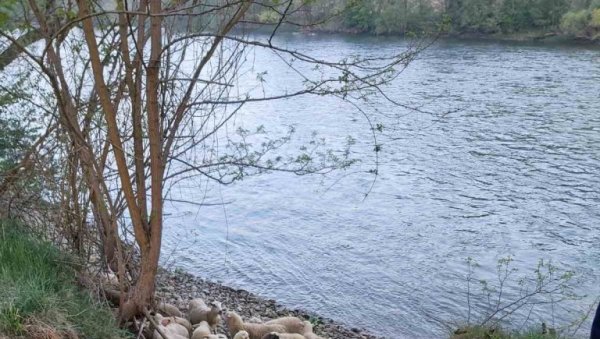 СТИГАО ИМ „ЦРНИ ПЕТАК“: Раскринкана банда која је кријумчарила мигранте СТИГАО ИМ „ЦРНИ ПЕТАК“: Раскринкана банда која је кријумчарила мигранте