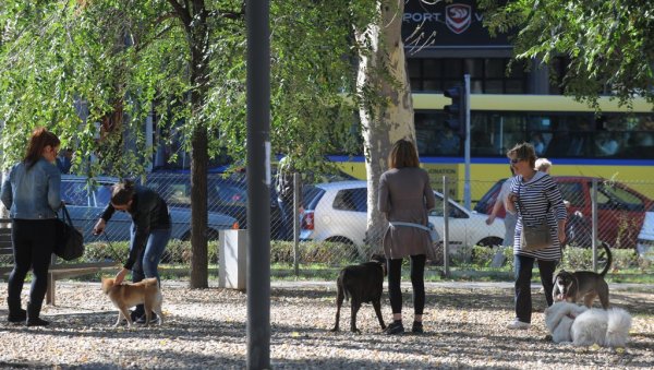 ПЕТ-ЗОНЕ МАЊЕ ПОПУЛАРНЕ: Поједини грађани траже изградњу нових паркова за псе, док су други против ПЕТ-ЗОНЕ МАЊЕ ПОПУЛАРНЕ: Поједини грађани траже изградњу нових паркова за псе, док су други против