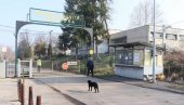 RUDARI STUPILI U GENERALNI ŠTRAJK: Radnicima rudnika uglja Kreka nije isplaćena plata RUDARI STUPILI U GENERALNI ŠTRAJK: Radnicima rudnika uglja Kreka nije isplaćena plata