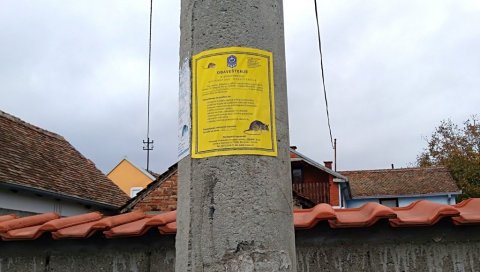НАЈАВА ГРАДСКЕ УПРАВЕ ПОЖАРЕВАЦ: У понедељак почиње двонедељна дератизација НАЈАВА ГРАДСКЕ УПРАВЕ ПОЖАРЕВАЦ: У понедељак почиње двонедељна дератизација
