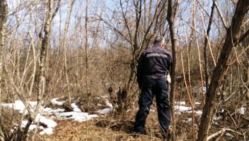 FOTOGRAFIJE SA MESTA NESREĆE: Lazar (19) pronađen okružen lekovima FOTOGRAFIJE SA MESTA NESREĆE: Lazar (19) pronađen okružen lekovima