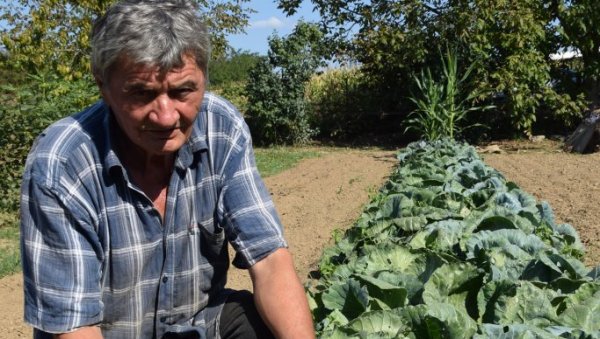 У ПОВРТЊАК ПО ЗДРАВЉЕ: Драган Николић (70) из Ћуприје пензионерске дане троши радно, и даље устаје у шест као кад је ишао на посао У ПОВРТЊАК ПО ЗДРАВЉЕ: Драган Николић (70) из Ћуприје пензионерске дане троши радно, и даље устаје у шест као кад је ишао на посао
