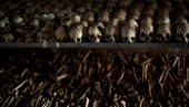 ФРАНЦУСКА ЈЕ ОДГОВОРНА! Историчари о геноциду у Руанди
