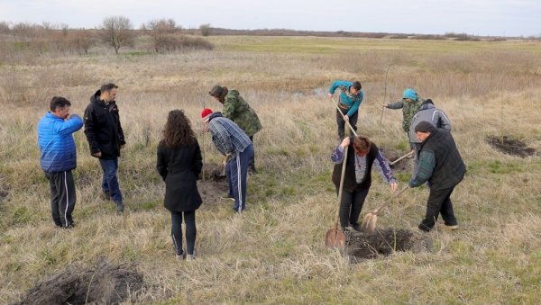 У ВРШЦУ И ОКОЛИНИ ПОСАЂЕНО 1.220 САДНИЦА ДРВЕЋА: Град обезбедио садни материјал, а мештани сами учествовали у акцијама У ВРШЦУ И ОКОЛИНИ ПОСАЂЕНО 1.220 САДНИЦА ДРВЕЋА: Град обезбедио садни материјал, а мештани сами учествовали у акцијама
