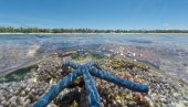 ФАНТАСТИЧНЕ ФОТОГРАФИЈЕ МАРШАЛСКИХ ОСТРВА: Изложба Кану Корал Копра у Зрењанину (ФОТО) ФАНТАСТИЧНЕ ФОТОГРАФИЈЕ МАРШАЛСКИХ ОСТРВА: Изложба Кану Корал Копра у Зрењанину (ФОТО)