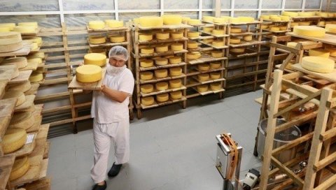 РУСКИ НАУЧНИЦИ ОТКРИЛИ: Дијета са сиром смањује стрес РУСКИ НАУЧНИЦИ ОТКРИЛИ: Дијета са сиром смањује стрес
