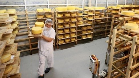 RUSKI NAUČNICI OTKRILI: Dijeta sa sirom smanjuje stres RUSKI NAUČNICI OTKRILI: Dijeta sa sirom smanjuje stres