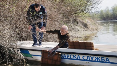 ГНЕЗДА ЗА МРЕСТ СМУЂА УЗ ОБАЛУ: Покреће се низ нових акција на заштити и унапређењу рибљег фонда Дунава ГНЕЗДА ЗА МРЕСТ СМУЂА УЗ ОБАЛУ: Покреће се низ нових акција на заштити и унапређењу рибљег фонда Дунава