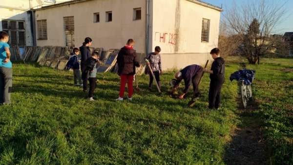 ГДЕ ГОД НАЂЕШ ЗГОДНО МЕСТО ТУ ДРВО ПОСАДИ: Млади неготински стонитенисери засадили саднице воћа ГДЕ ГОД НАЂЕШ ЗГОДНО МЕСТО ТУ ДРВО ПОСАДИ: Млади неготински стонитенисери засадили саднице воћа