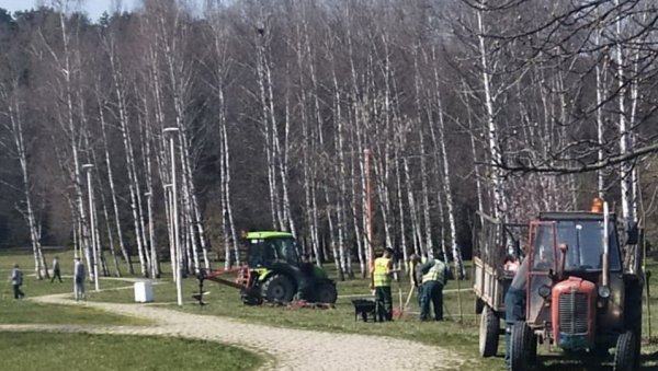 ДО ВИДОВДАНА 650 САДНИЦА: Акција уочи 650 година од оснивања Крушевца ДО ВИДОВДАНА 650 САДНИЦА: Акција уочи 650 година од оснивања Крушевца