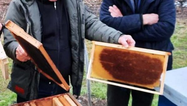 НОВАЦ ЗА 249 ПЧЕЛАРА: Прелиминарна листа за доделу субвенција у области пољопривреде НОВАЦ ЗА 249 ПЧЕЛАРА: Прелиминарна листа за доделу субвенција у области пољопривреде