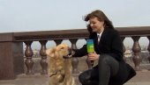 ПАС ОТЕО ВОДИТЕЉКИ МИКРОФОН: Несвакидашња сцена у уживо програму (ВИДЕО) ПАС ОТЕО ВОДИТЕЉКИ МИКРОФОН: Несвакидашња сцена у уживо програму (ВИДЕО)