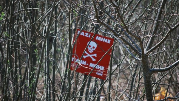 ПЧЕЛЕ И ДРОНОВИ ТРАЖЕ МИНЕ ПО БАЛКАНУ: Технолошке иновације које могу да помогну да се разграниче и потврде опасне области ПЧЕЛЕ И ДРОНОВИ ТРАЖЕ МИНЕ ПО БАЛКАНУ: Технолошке иновације које могу да помогну да се разграниче и потврде опасне области