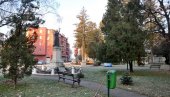 АКЦИЈА У ГРАДСКОМ ПАРКУ У ВЕЛИКОМ ГРАДИШТУ: Дели се 100 садница белог јасена АКЦИЈА У ГРАДСКОМ ПАРКУ У ВЕЛИКОМ ГРАДИШТУ: Дели се 100 садница белог јасена