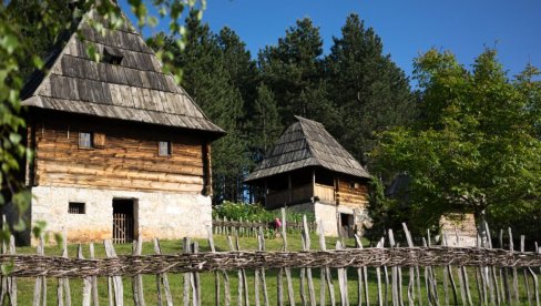 УЖИВАЊЕ ЗА СВЕ ГЕНЕРАЦИЈЕ: Летња сезона увелико траје на Златибору, организован богат програм за посетиоце УЖИВАЊЕ ЗА СВЕ ГЕНЕРАЦИЈЕ: Летња сезона увелико траје на Златибору, организован богат програм за посетиоце