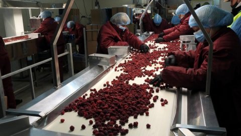 ХИТАН САСТАНАК: Министарство пољопривреде са представницима свих великих хладњача ХИТАН САСТАНАК: Министарство пољопривреде са представницима свих великих хладњача