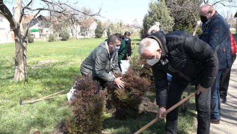 ОЗЕЛЕЊАВАЊЕ СА 1200 САДНИЦА: Почела велика еколошка акција у Суботици ОЗЕЛЕЊАВАЊЕ СА 1200 САДНИЦА: Почела велика еколошка акција у Суботици