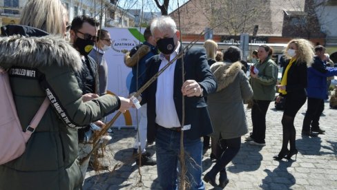 СОМБОРЦИМА 300 САДНИЦА: Одржана акција Посади свој хлад СОМБОРЦИМА 300 САДНИЦА: Одржана акција Посади свој хлад