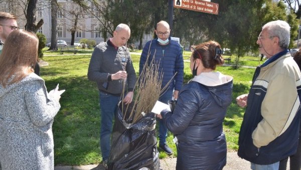 ОДРЖАНА АКЦИЈА ПОСАДИ СВОЈ ХЛАД: Подељено 100 садница белог јасена у Великом Градишту (ФОТО) ОДРЖАНА АКЦИЈА ПОСАДИ СВОЈ ХЛАД: Подељено 100 садница белог јасена у Великом Градишту (ФОТО)