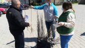 АКЦИЈА ПОСАДИ СВОЈ ХЛАД У ЖИТИШТУ: Подељене двогодишње саднице белог јасена АКЦИЈА ПОСАДИ СВОЈ ХЛАД У ЖИТИШТУ: Подељене двогодишње саднице белог јасена