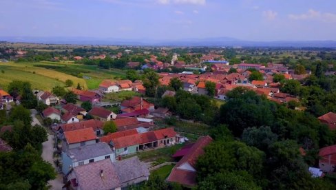 ПОСАЂЕНЕ САДНИЦЕ БЕЛОГ ЈАСЕНА У ВАРВАРИНУ: Овај догађај је део националне акције ПОСАЂЕНЕ САДНИЦЕ БЕЛОГ ЈАСЕНА У ВАРВАРИНУ: Овај догађај је део националне акције