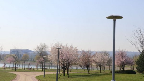 НОВА РАСВЕТА У ГРАДСКОМ ПАРКУ ЈЕЗЕРО: У Кладову постављена 31 светиљка са по шест лед сијалица НОВА РАСВЕТА У ГРАДСКОМ ПАРКУ ЈЕЗЕРО: У Кладову постављена 31 светиљка са по шест лед сијалица