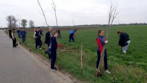 ОПЛЕМЕНИЛИ ПРОСТОР ИЗМЕЂУ СЕЛА: Волонтери садили дрворед између Старог Жедника и Ђурђина ОПЛЕМЕНИЛИ ПРОСТОР ИЗМЕЂУ СЕЛА: Волонтери садили дрворед између Старог Жедника и Ђурђина