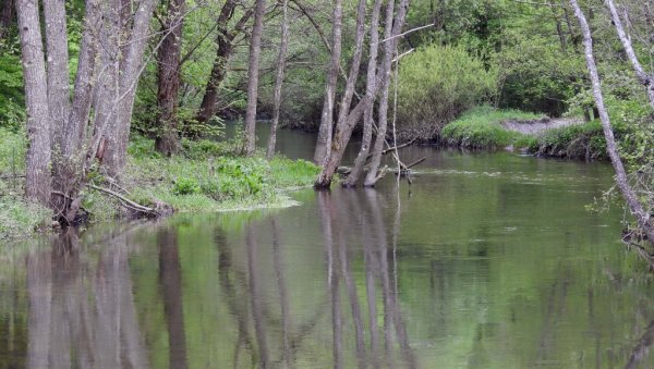 ЂЕТИЊА УМИРЕ НА НАШЕ ОЧИ: Заштићена флора и фауна пред изумирањем, са градске плаже нестали купачи ЂЕТИЊА УМИРЕ НА НАШЕ ОЧИ: Заштићена флора и фауна пред изумирањем, са градске плаже нестали купачи