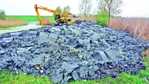 U KRIVAJI VIŠE NEMA ŽIVOTA: Najduža vojvođanska reka, od Bačke Topole do ušća u veliki Bački kanal, postala je kanalizacija U KRIVAJI VIŠE NEMA ŽIVOTA: Najduža vojvođanska reka, od Bačke Topole do ušća u veliki Bački kanal, postala je kanalizacija
