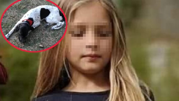 ПАС ЈЕ СВЕ ВРЕМЕ БИО СА ЊОМ: Кјара испричала да је захваљујући љубимцу преживела, сада га забринути власници траже (ФОТО) ПАС ЈЕ СВЕ ВРЕМЕ БИО СА ЊОМ: Кјара испричала да је захваљујући љубимцу преживела, сада га забринути власници траже (ФОТО)