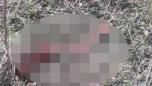 СНАЈПЕРОМ ПРЕСУДИЛИ СРНДАЋУ, ГЛАВА МУ ПРОНАЂЕНА У ТОРБИ: Нечувен криволов у Националном парку Дурмитор (УЗНЕМИРУЈУЋЕ ФОТОГРАФИЈЕ) СНАЈПЕРОМ ПРЕСУДИЛИ СРНДАЋУ, ГЛАВА МУ ПРОНАЂЕНА У ТОРБИ: Нечувен криволов у Националном парку Дурмитор (УЗНЕМИРУЈУЋЕ ФОТОГРАФИЈЕ)