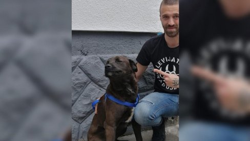 OVO JE PAS KOJEG JE MLADIĆ HTEO ŽIVOG DA POJEDE: Mešanac zbrinut - sada čeka na svoj novi dom! OVO JE PAS KOJEG JE MLADIĆ HTEO ŽIVOG DA POJEDE: Mešanac zbrinut - sada čeka na svoj novi dom!