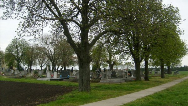 НЕ ВЕРУЈУ ИНСПЕКТОРИМА, ТРАЖЕ ВАНРЕДНИ НАДЗОР: Узбуркане страсти у Оџацима, еколози незадвољни извештајем о сечи кестенова НЕ ВЕРУЈУ ИНСПЕКТОРИМА, ТРАЖЕ ВАНРЕДНИ НАДЗОР: Узбуркане страсти у Оџацима, еколози незадвољни извештајем о сечи кестенова