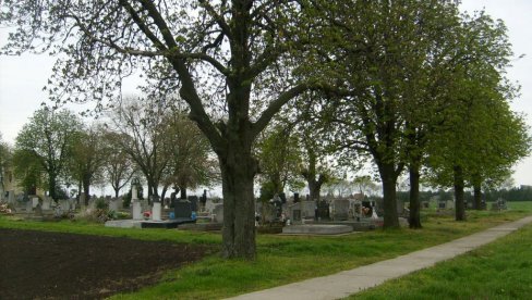 НЕ ВЕРУЈУ ИНСПЕКТОРИМА, ТРАЖЕ ВАНРЕДНИ НАДЗОР: Узбуркане страсти у Оџацима, еколози незадвољни извештајем о сечи кестенова НЕ ВЕРУЈУ ИНСПЕКТОРИМА, ТРАЖЕ ВАНРЕДНИ НАДЗОР: Узбуркане страсти у Оџацима, еколози незадвољни извештајем о сечи кестенова