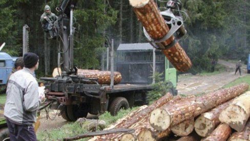 УНИШТАВАЛИ И ПРЕДУЗЕЋЕ И ПРИРОДУ: За 10 смењених руководиоца ЈП Шуме РС обавезна затворска казна, без обзира на партијску књижицу! УНИШТАВАЛИ И ПРЕДУЗЕЋЕ И ПРИРОДУ: За 10 смењених руководиоца ЈП Шуме РС обавезна затворска казна, без обзира на партијску књижицу!