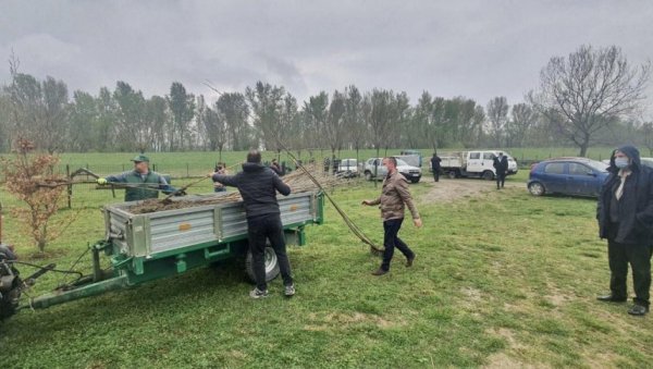 ПОДЕЛИЛИ 200 САДНИЦА ТОПОЛЕ: Пролећна садња у Обреновцу ПОДЕЛИЛИ 200 САДНИЦА ТОПОЛЕ: Пролећна садња у Обреновцу