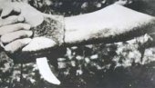 USTAŠKI PIR: Masovno upali u srpsko selo u Hrvatskoj i urlali da će klati Srbe USTAŠKI PIR: Masovno upali u srpsko selo u Hrvatskoj i urlali da će klati Srbe