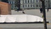 ИГРА НИЧИЈИХ ПАСА У ЦЕНТРУ ЗРЕЊАНИНА: Проблем који не треба занемарити (ВИДЕО) ИГРА НИЧИЈИХ ПАСА У ЦЕНТРУ ЗРЕЊАНИНА: Проблем који не треба занемарити (ВИДЕО)