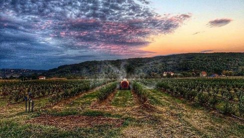 U SRPSKOJ TOSKANI CENA KUĆE VEĆ OD 13.000 EVRA: Nadomak Beograda nalazi se prava oaza za hedoniste (FOTO) U SRPSKOJ TOSKANI CENA KUĆE VEĆ OD 13.000 EVRA: Nadomak Beograda nalazi se prava oaza za hedoniste (FOTO)