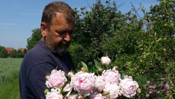 ЈЕДВА ЧЕКАМ ДА ПРОЦВЕТА НОВАК: Панчевац заљубљен у ово цвеће - постоји 7.000 врста, а најчувеније је оно са Косова (ФОТО) ЈЕДВА ЧЕКАМ ДА ПРОЦВЕТА НОВАК: Панчевац заљубљен у ово цвеће - постоји 7.000 врста, а најчувеније је оно са Косова (ФОТО)