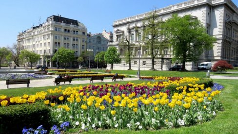 CVEĆE ULEPŠALO BEOGRAD : Rezultati jesenjih radova radnika Gradskog zelenila vidljivi širom grada CVEĆE ULEPŠALO BEOGRAD : Rezultati jesenjih radova radnika Gradskog zelenila vidljivi širom grada
