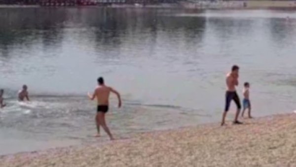 ПРВОМАЈСКО КУПАЊЕ НА АДИ ЦИГАНЛИЈИ: Излетници славе празник рада и брчкају се у београдском мору (ФОТО/ВИДЕО) ПРВОМАЈСКО КУПАЊЕ НА АДИ ЦИГАНЛИЈИ: Излетници славе празник рада и брчкају се у београдском мору (ФОТО/ВИДЕО)
