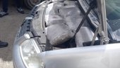 ЗАПЛЕЊЕНО 12,5 КИЛОГРАМА МАРИХУАНЕ: Нарко дилери не мирују ни на Васкрс ЗАПЛЕЊЕНО 12,5 КИЛОГРАМА МАРИХУАНЕ: Нарко дилери не мирују ни на Васкрс