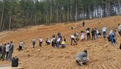 100 BOROVA NA MESTU BUDUĆEG KAMENOLOMA: Protest na lokalitetu Rađevice kod Aleksandrovca (FOTO/VIDEO)