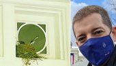 ЧЕКАЈУ ПТИЋА: Амбасадор Марко Ђурић добио неочекиване комшије у резиденцији ЧЕКАЈУ ПТИЋА: Амбасадор Марко Ђурић добио неочекиване комшије у резиденцији