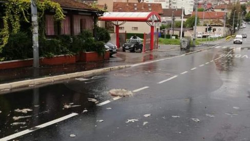ОТПАД ПОКУЉАО ПО ОБНОВЉЕНОЈ УЛИЦИ: Хаварија у обновљеном делу Улице витезова Карађорђеве звезде у Миријеву ОТПАД ПОКУЉАО ПО ОБНОВЉЕНОЈ УЛИЦИ: Хаварија у обновљеном делу Улице витезова Карађорђеве звезде у Миријеву